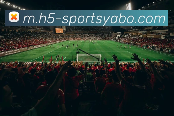 数据防护可视化